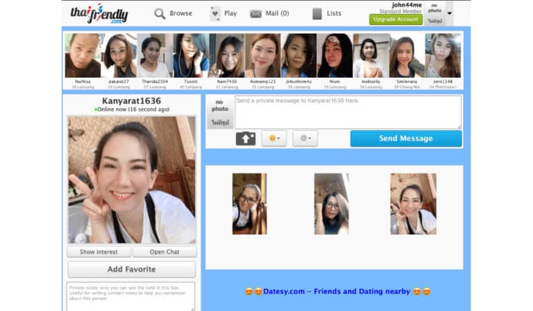 Thaifriendly Review 2026 : How To Find Thai Singles? Pros & Cons Of Thaifriendly Dating Site